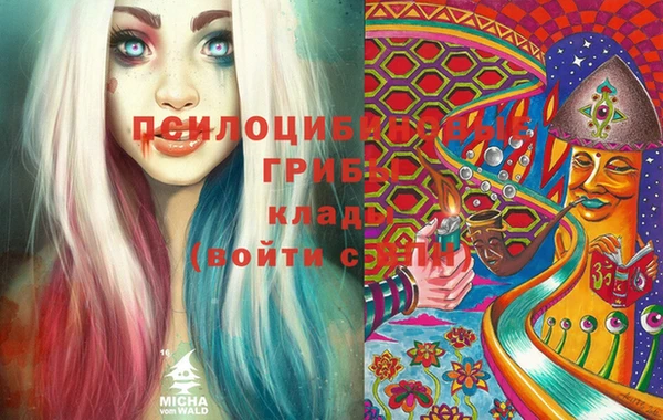 хмурый Белоозёрский