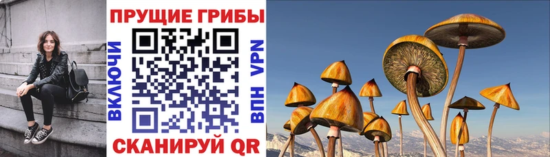Псилоцибиновые грибы Magic Shrooms  гидра tor  Озёрск 